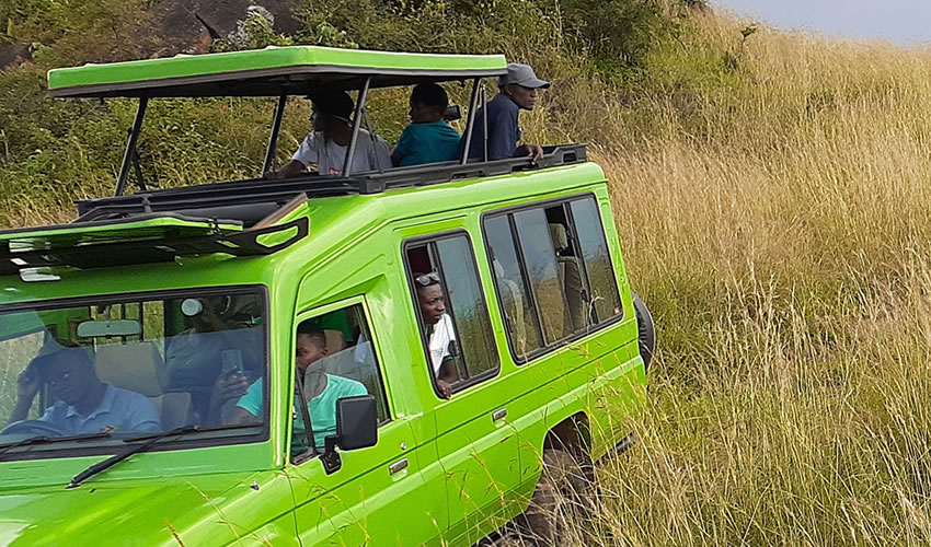 Wildlife Game Drives in Uganda