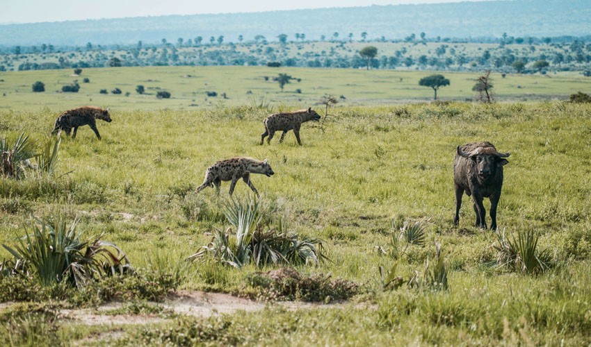 3 Days Murchison Falls National Park Tour