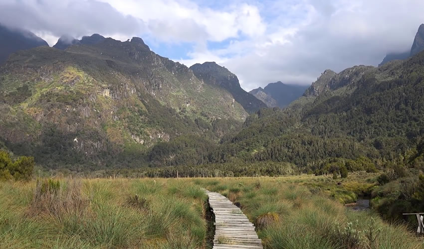 Rwenzori Mountains National Park